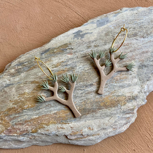 Joshua Tree hoops