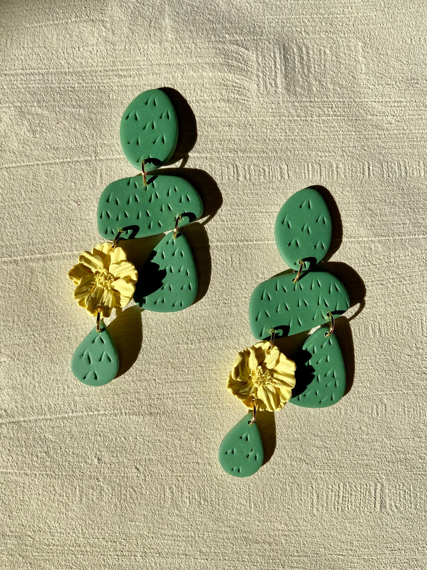 Desert Cactus