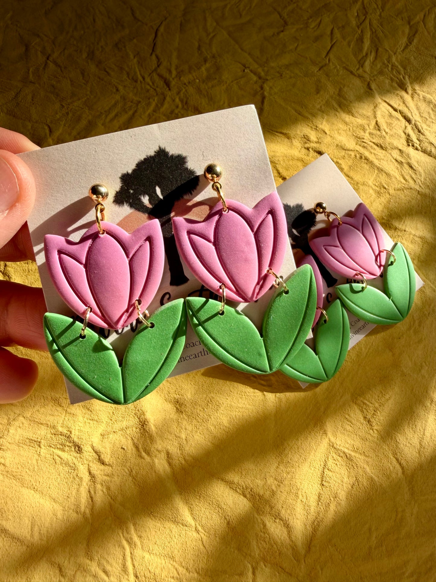 Tulipanes