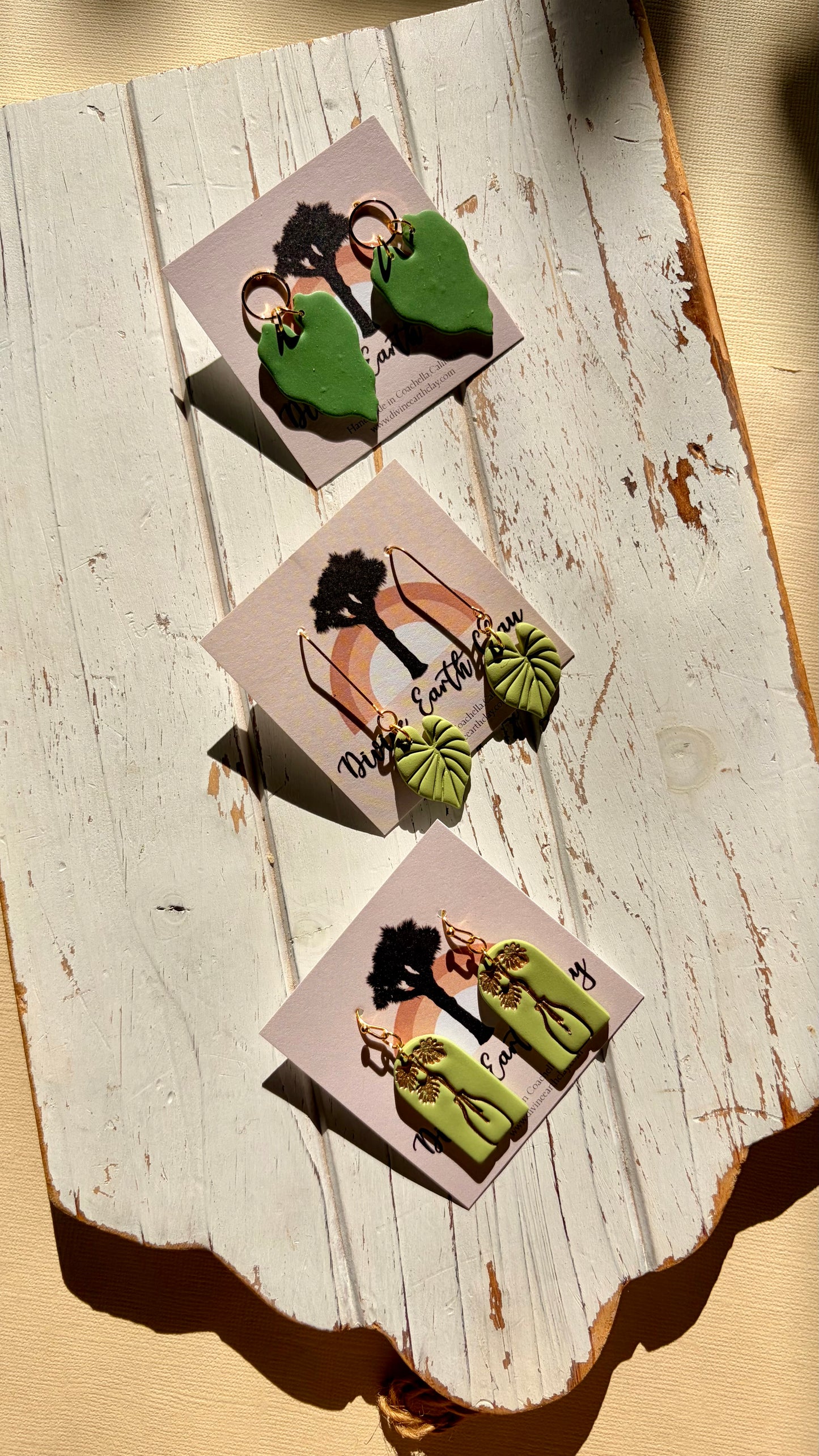 Tropical House plants